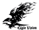 Eagle Vision