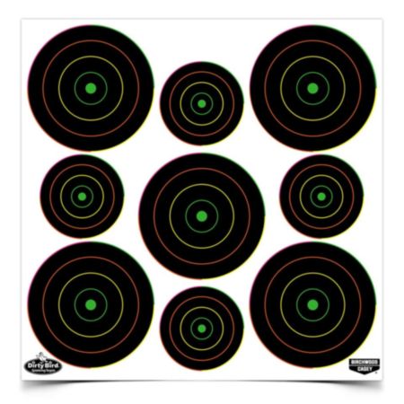 Birchwood Casey Dirty Bird® 2" and 3" Multi-Coloured Non-Adhesive Tagboard Targets - Pack of 12 Sheets