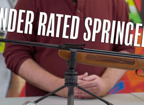 Best Beginner Rifle? - Weihrauch HW99