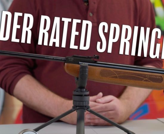 Best Beginner Rifle? - Weihrauch HW99